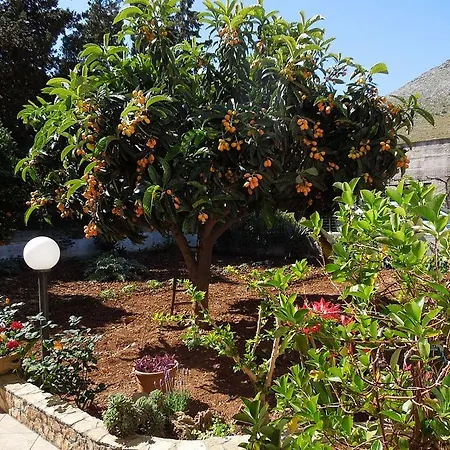 Poliglotta Bed and Breakfast Castelluzzo