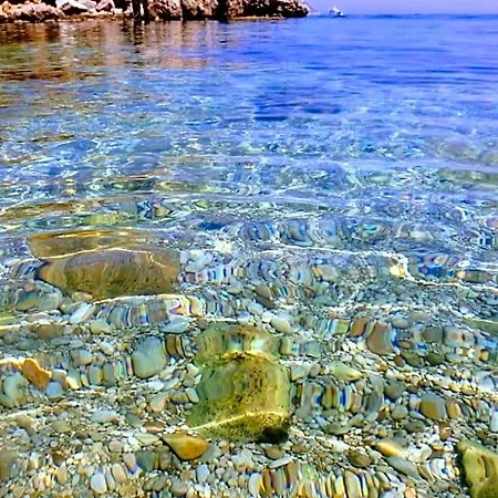 Poliglotta