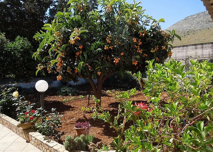 Poliglotta Отель типа 